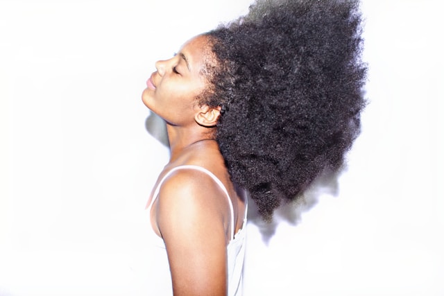 Lormexeltria harmónia